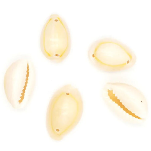 Cowrie Shell with 2 Holes Beads